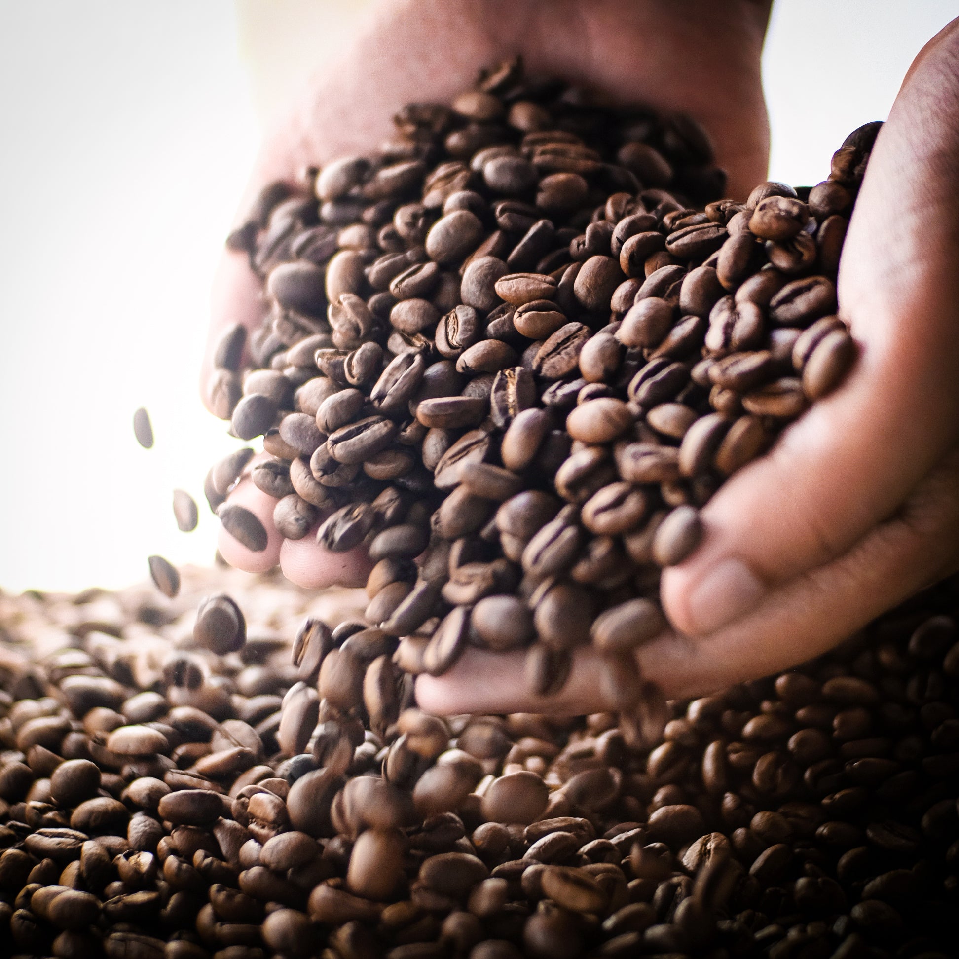 gid://shopify/MediaImage/30820242686090