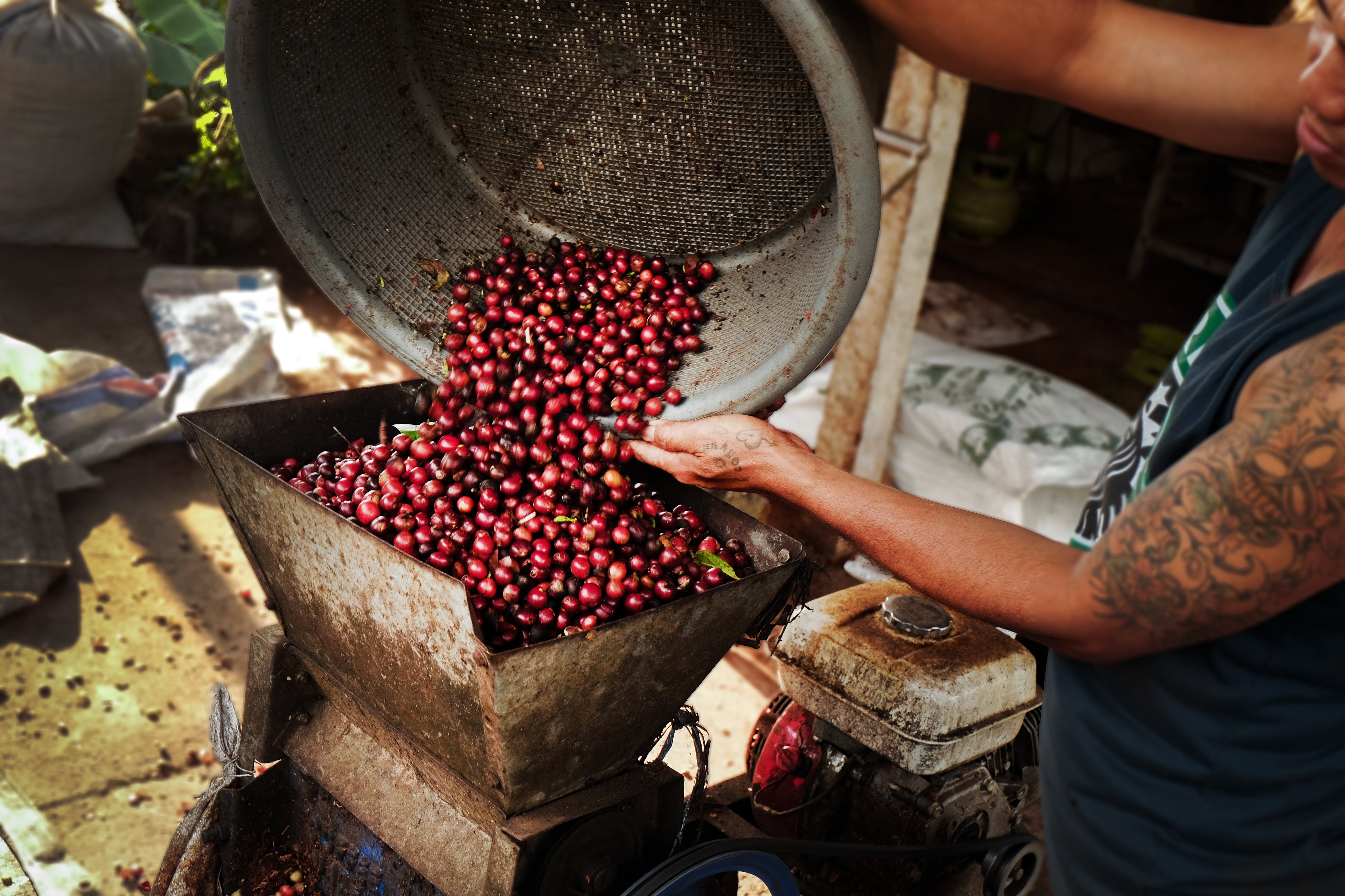 gid://shopify/MediaImage/30820256317578