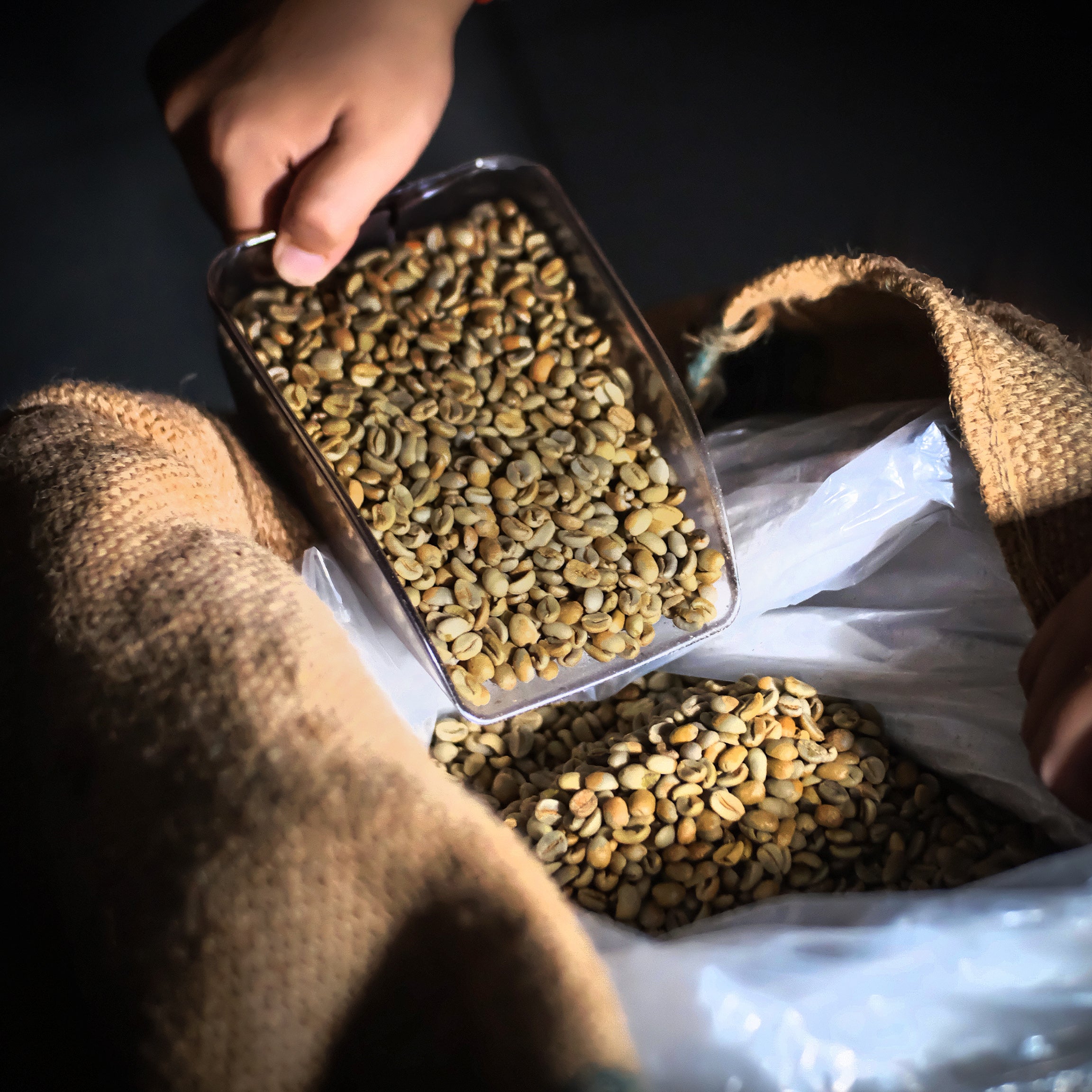 gid://shopify/MediaImage/30820271554698