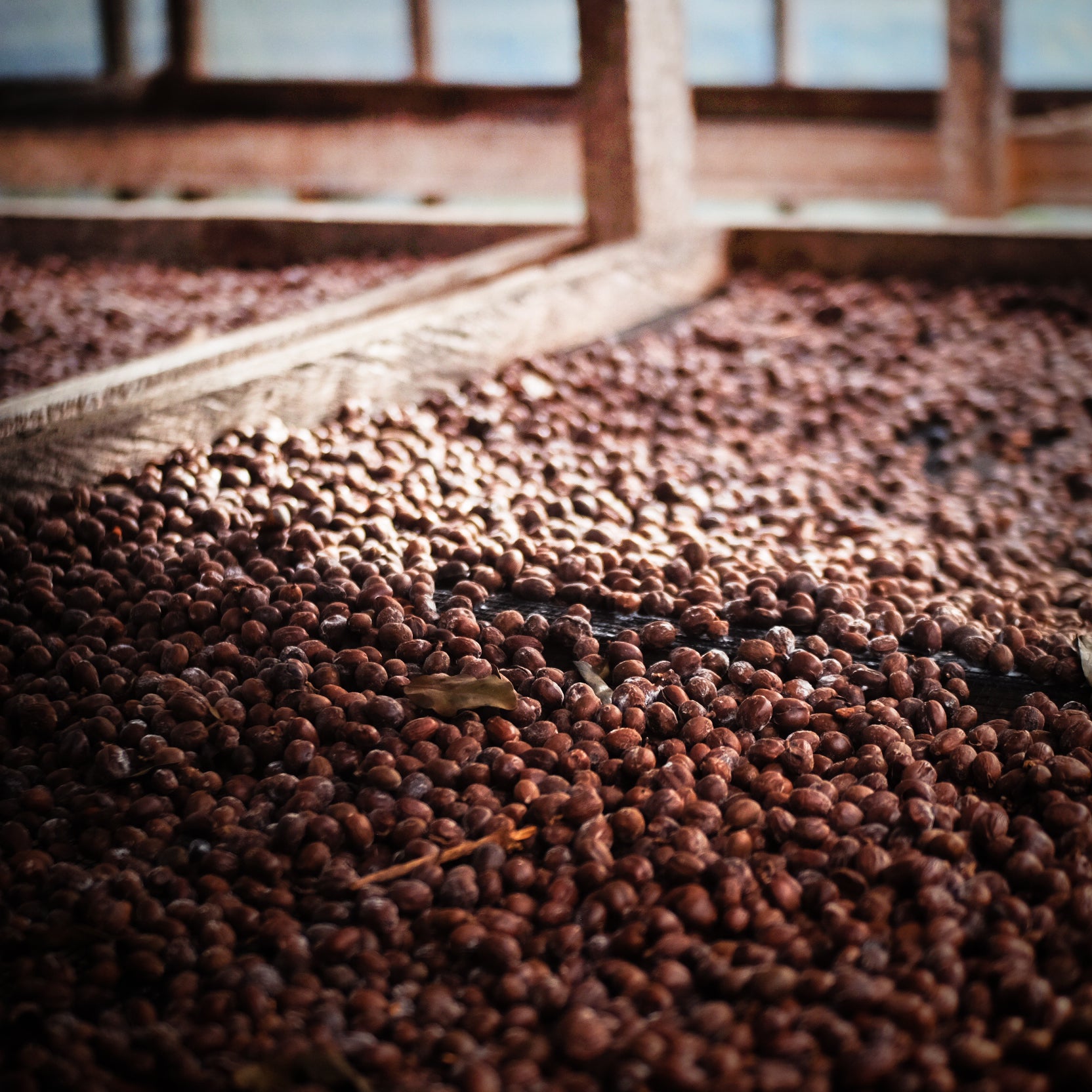 gid://shopify/MediaImage/30820186882186