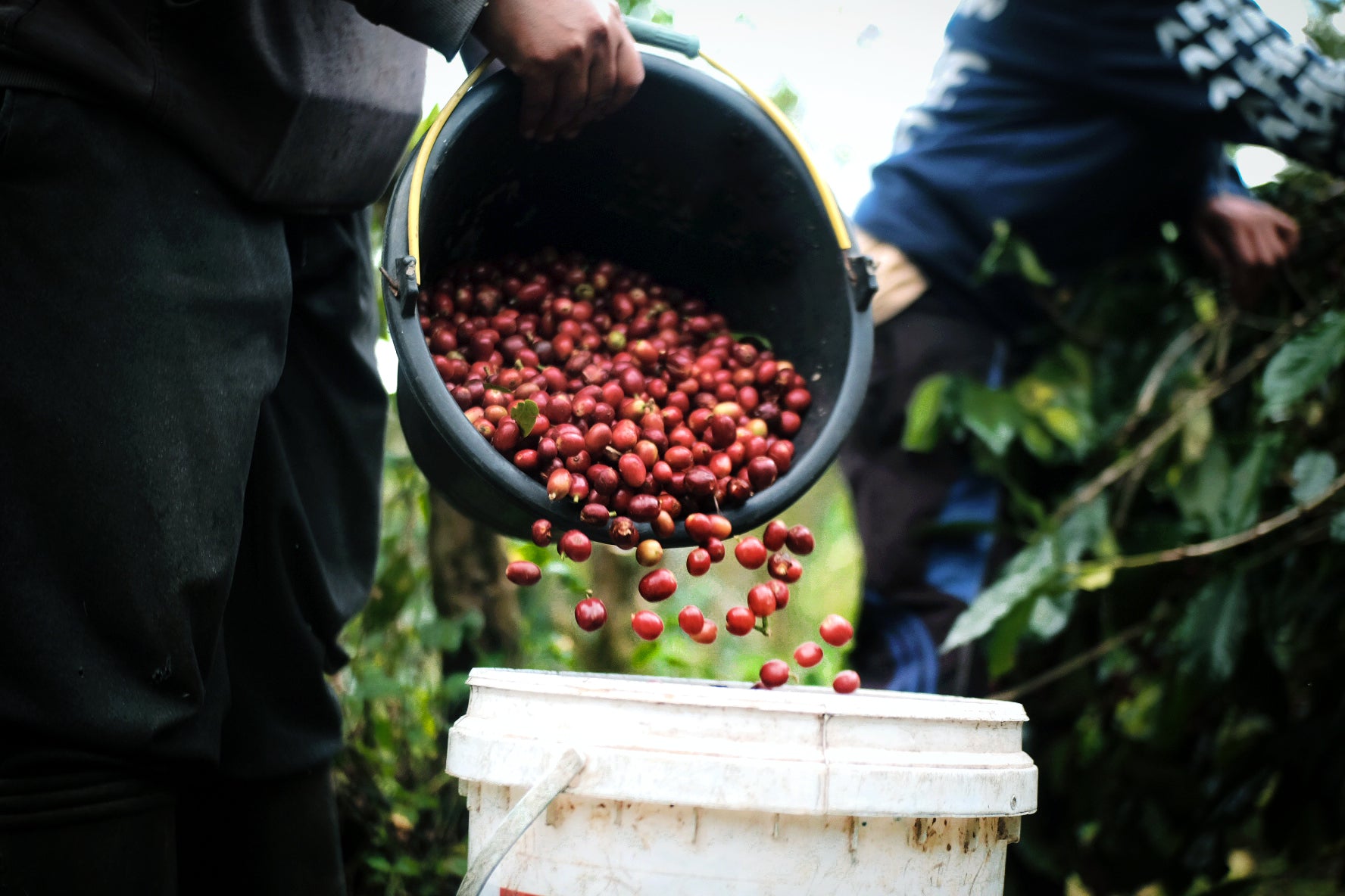 gid://shopify/MediaImage/30820134518922